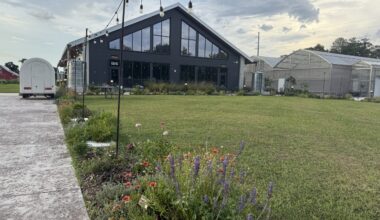 4 Roots Farm hosts Community Plant-Based Potluck