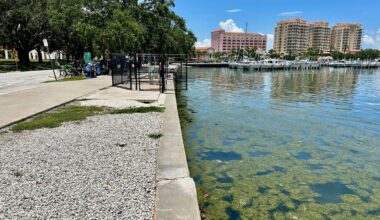 St. Pete will vote on temporary dock for Tampa Bay Ferry