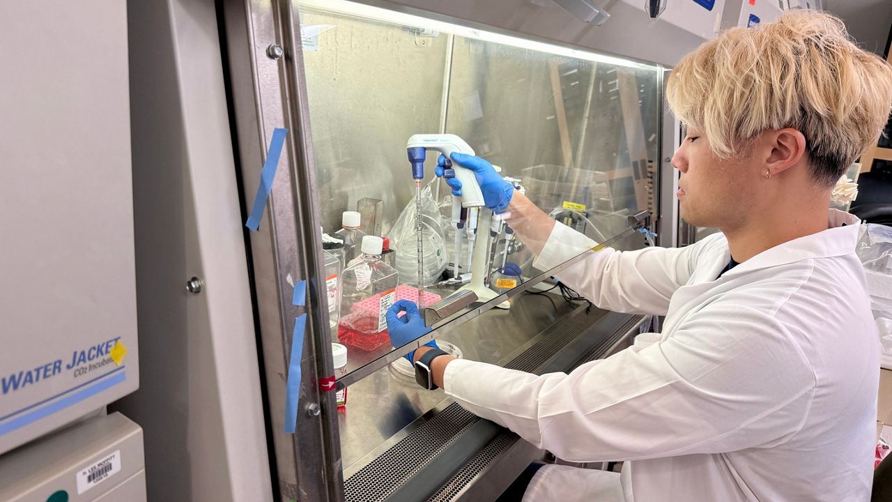 Cell trial brings hope for cancer side effect