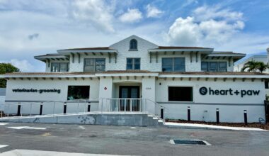 Heart + Paw veterinarian clinic opens in historic St. Pete building