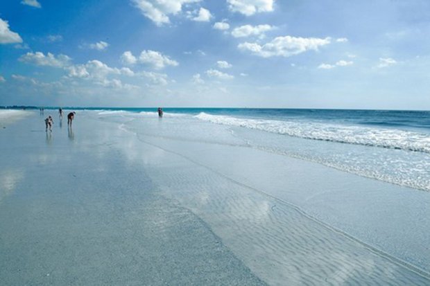 Siesta Beach on Siesta Key southwest of Sarasota, Florida, was named America's top beach in 2011 and 2017 on Dr. Beach's annual Top 10 Beach List, and has also been named top beach in the U.S. several times on the annual TripAdvisor's Travelers' Choice Awards. (Sarasota Convention and Visitors Bureau/TNS)