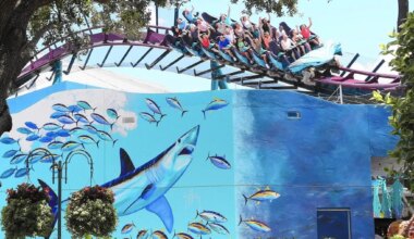 Theme park flashback: 2016 launched major rides, attractions