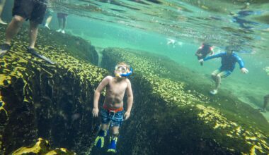 Beat the heat: 10 ways to stay cool in the Florida summer