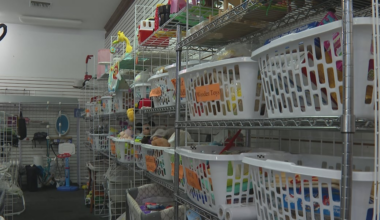 Florida shoppers can save on school supplies, clothes and computers during month-long tax holiday