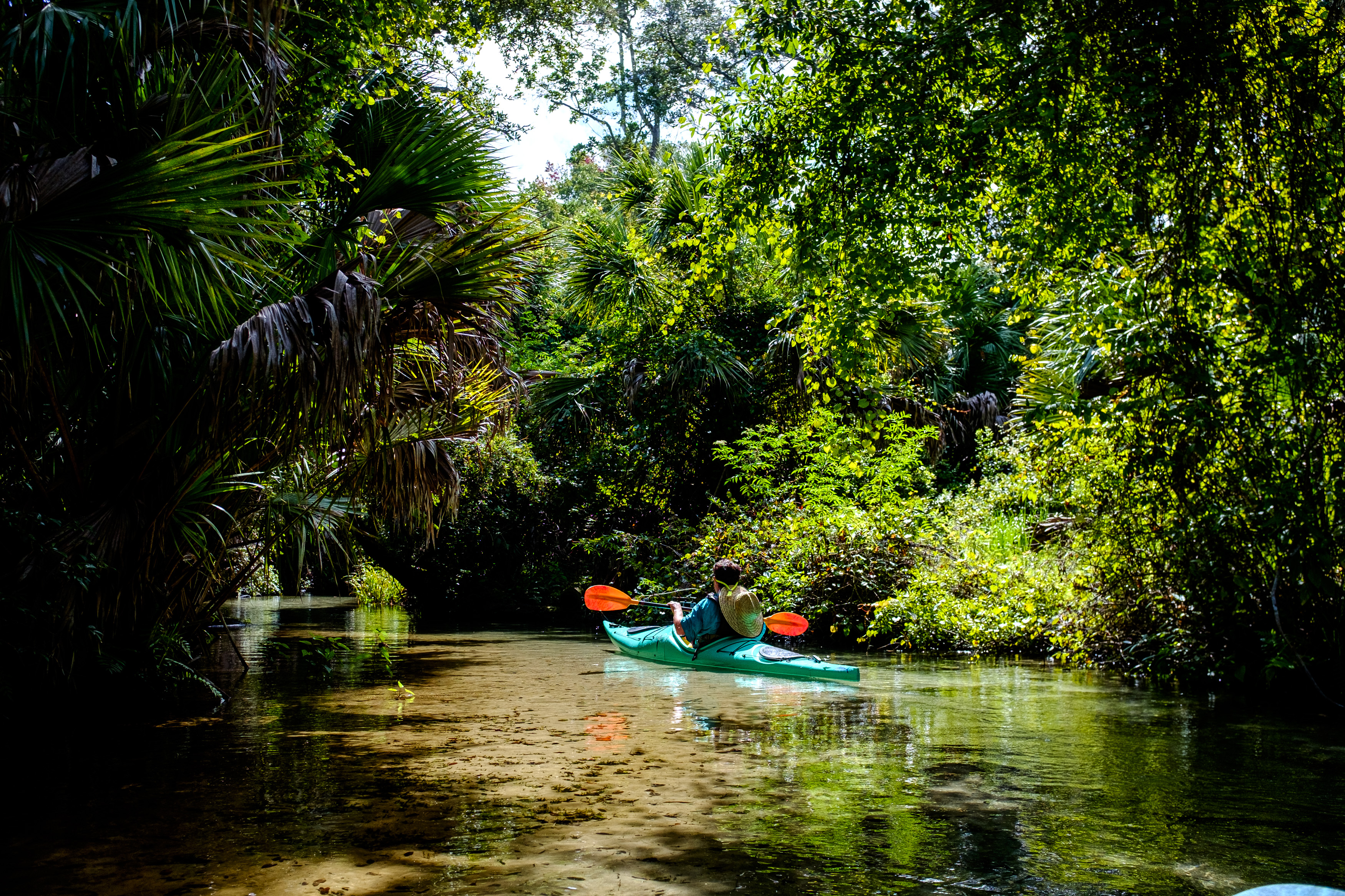 A paddle down Juniper Springs yielded beautiful sights on wild Florida in July 2020. Spending time on the water is one way to keep cool during the Sunshine State's summer months.