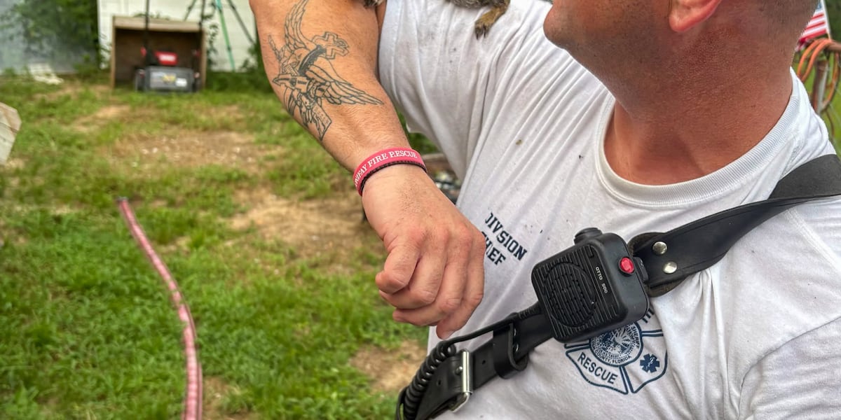 Burn victim airlifted: dogs, cats, squirrel rescued in NW Florida fire