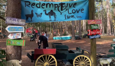 ‘Outpouring of tangible love’: Community rallies behind local farm owner to help keep her property