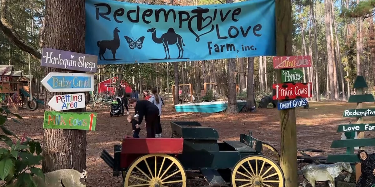 ‘Outpouring of tangible love’: Community rallies behind local farm owner to help keep her property