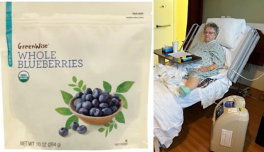 Florida couple sues Publix after wife hospitalized with E. coli linked to GreenWise Organic blueberries