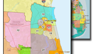 2026 Voter’s Guide: Florida House District 17