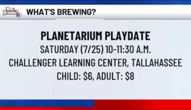 What’s Brewing - Planetarium Playdate