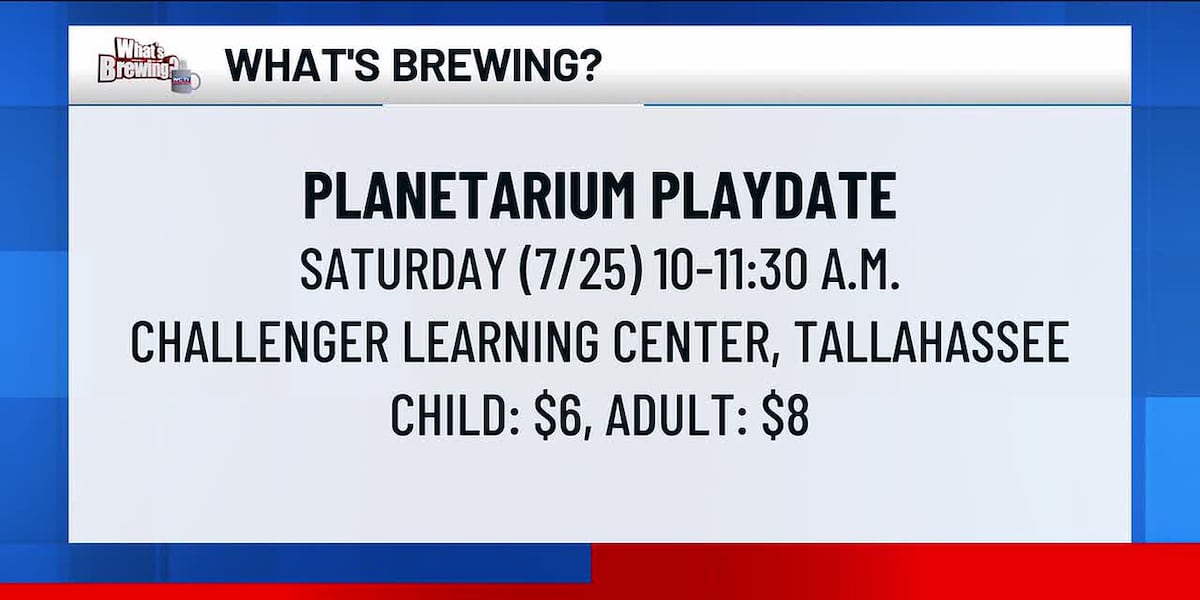What’s Brewing - Planetarium Playdate