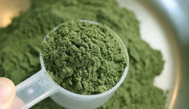 Kratom-Powder