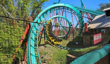 A yellow and black coaster train maneuvers through the teal steel track of Kumba
