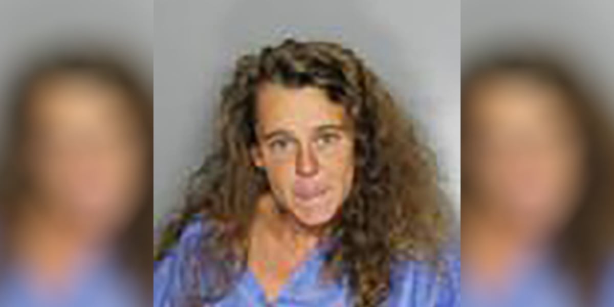 Charlotte County woman faces child cruelty, battery charges after court hearing