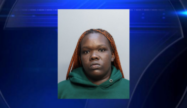Miami woman arrested months after alleged road rage crash involving woman and child - WSVN 7News | Miami News, Weather, Sports