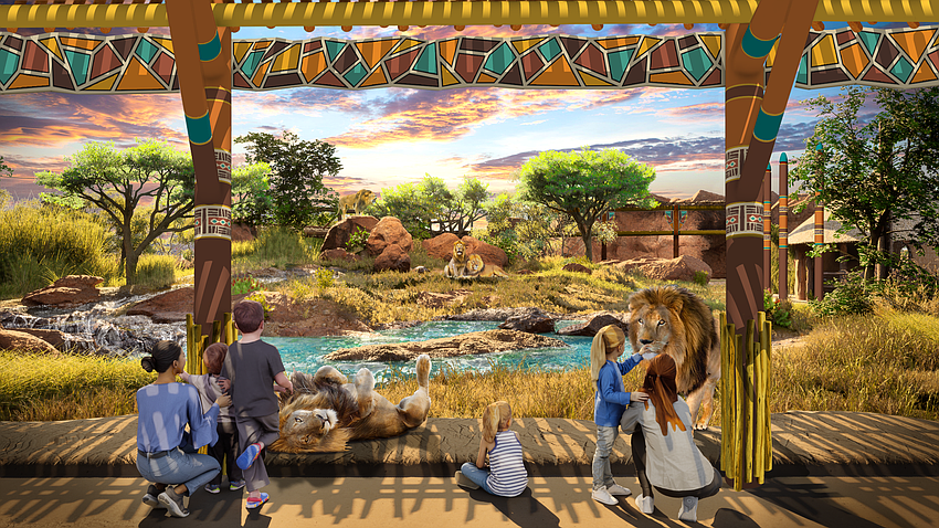 Lion & Hyena Ridge is a new 35,000-square-foot animal habitat featuring two apex predators at Busch Gardens.