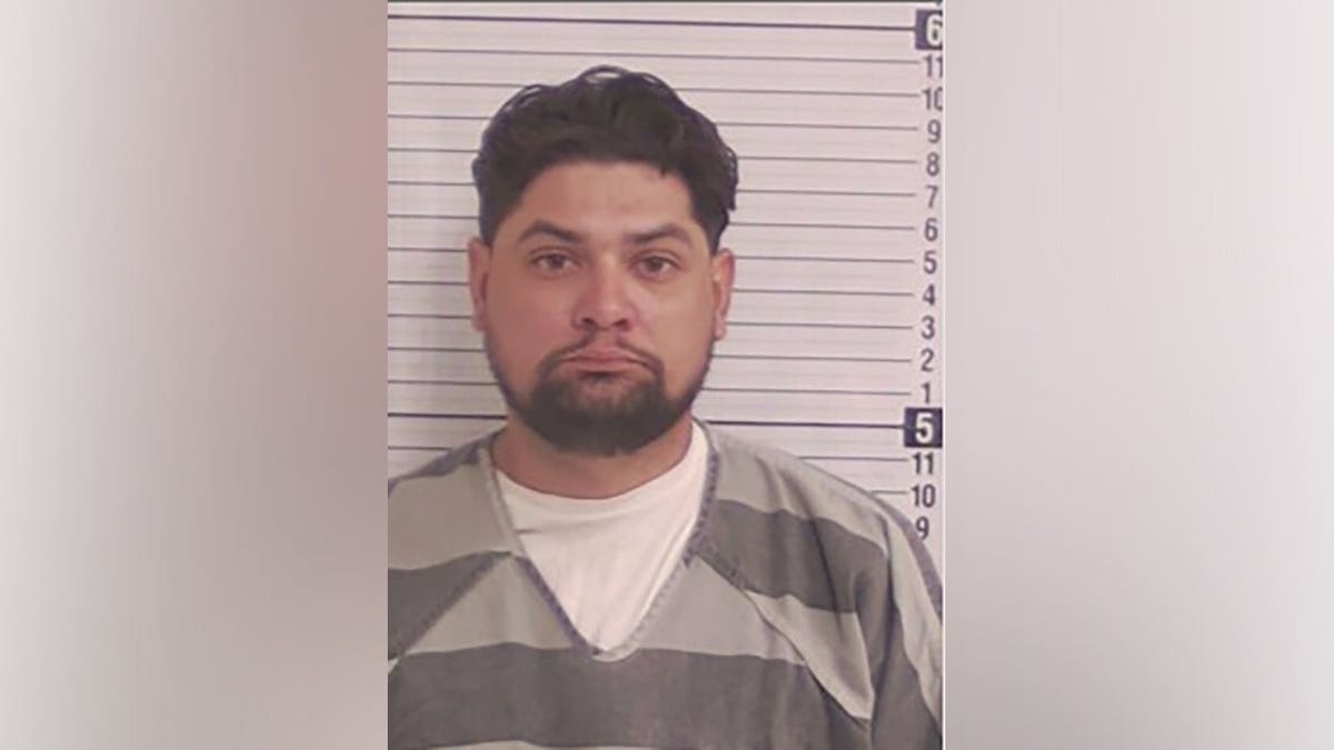 Florida illegal immigrant Luis Sanabria arrested after Deborah Murphy's death outside Publix