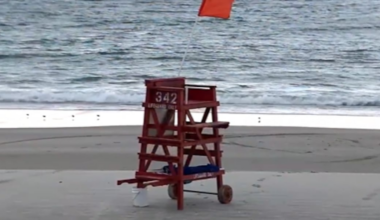 Heroes: Teen lifeguards save 5-year-old at Florida beach