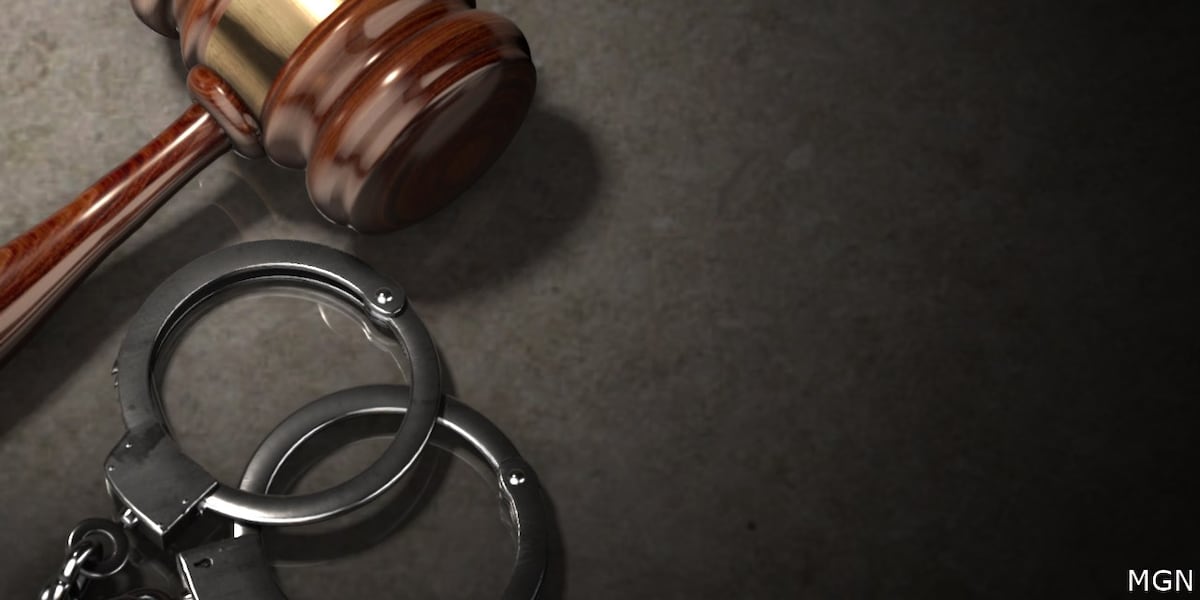 Tallahassee man pleads guilty to federal child exploitation charges