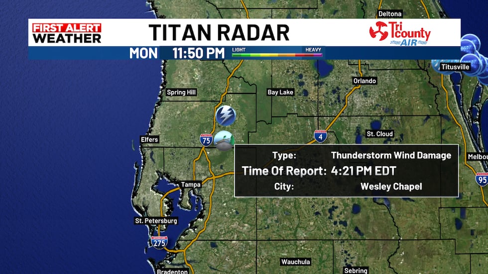 A late afternoon thunderstorm blows over a tree in Pasco County on Monday killing one in a home