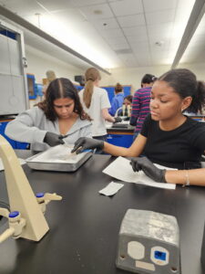 Microbiology Girls Club changing STEM pipeline
