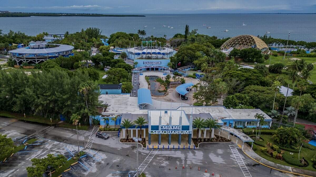 Seaquarium redevelopment proposes massive yacht slips