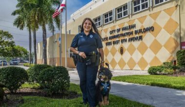 Hialeah’s new therapy dog Domino comforts victims