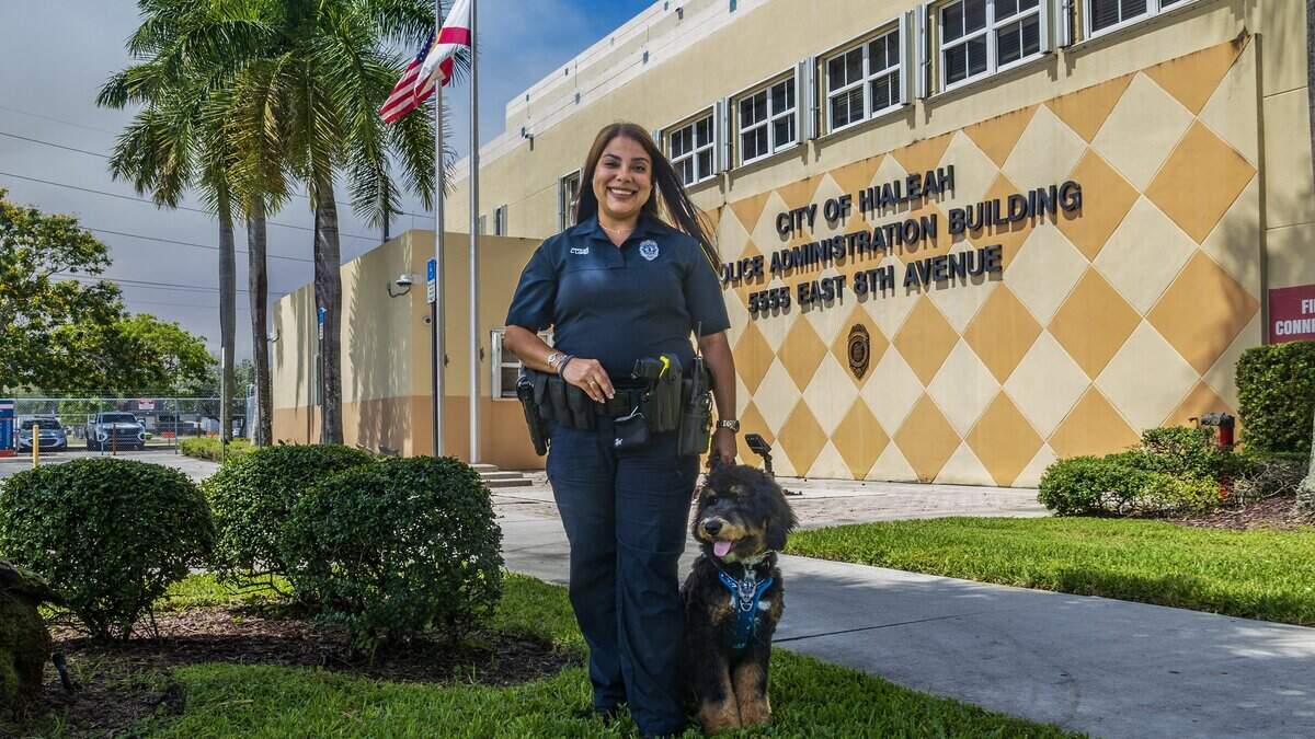 Hialeah’s new therapy dog Domino comforts victims