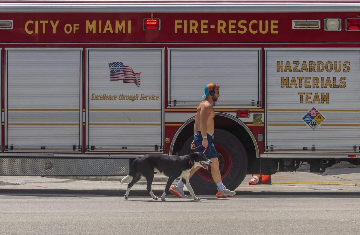 A man walks his dog on Biscayne Boulevard, in Miami, as a heat advisory is in effect for most of South Florida, on Wednesday, July 08, 2026.