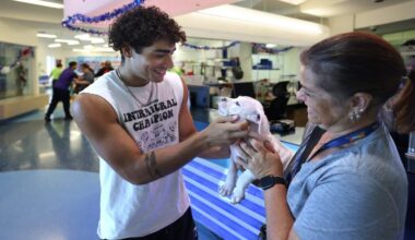 New animal shelter to open in South Dade, Miami-Dade County