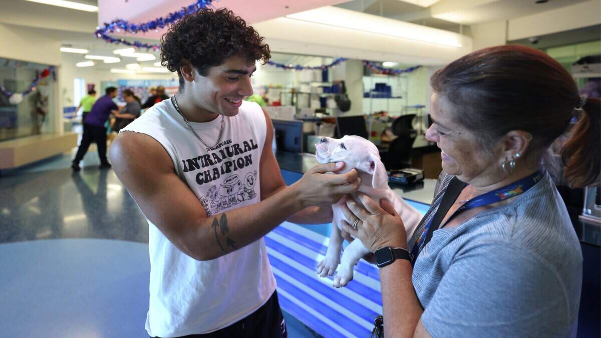 New animal shelter to open in South Dade, Miami-Dade County