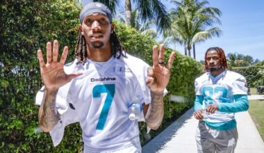 Dolphins rookies deserve patience, and reasonable expectations
