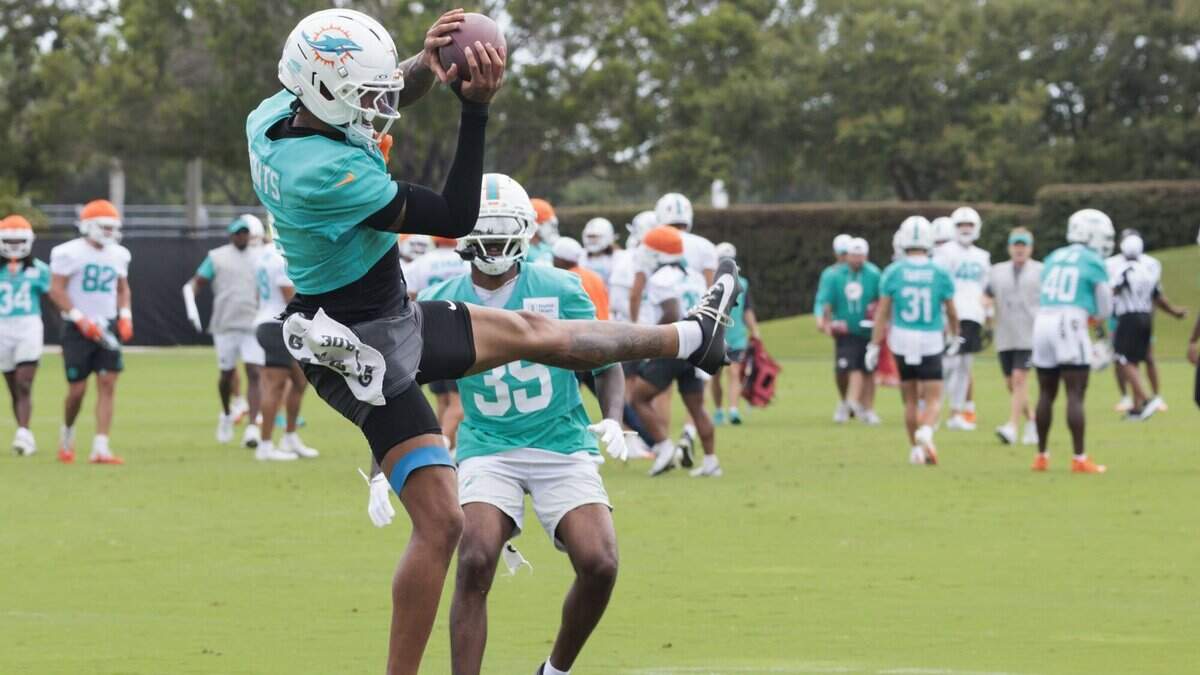 Kelly: Miami Dolphins’ 10 biggest bargains in 2026