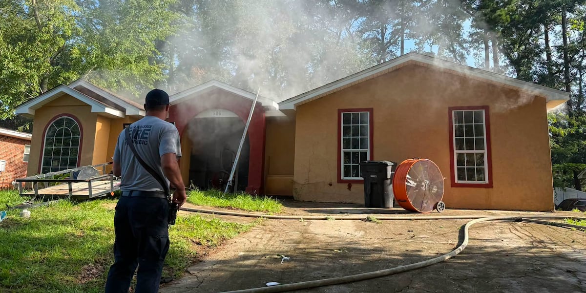 Lightning a ‘contributing factor’ in Tallahassee house fire Saturday morning, TFD says