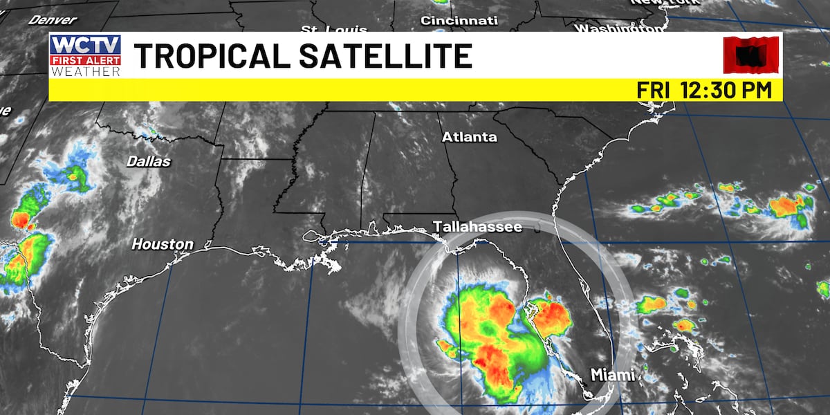 First Alert Daily: Tracking the tropics this weekend 🌀for Tallahassee, the Big Bend and South Georgia?