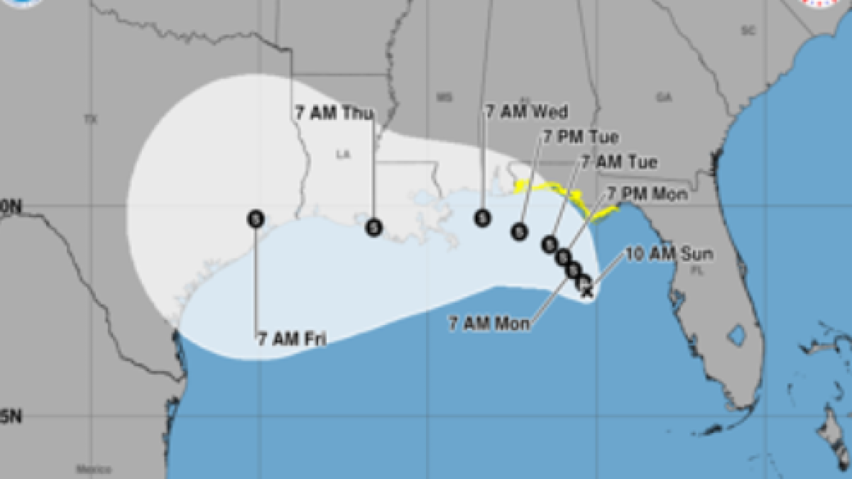 Tropical storm watch issued for Florida Panhandle after Tropical Depression Two forms, NHC says – NBC 6 South Florida