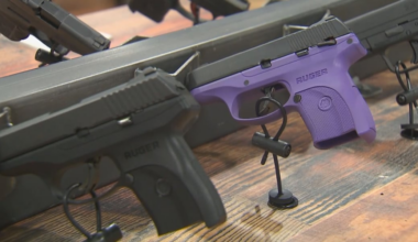 Tallahassee Police reports slight rise in car burglaries, urge residents not to leave guns in vehicles