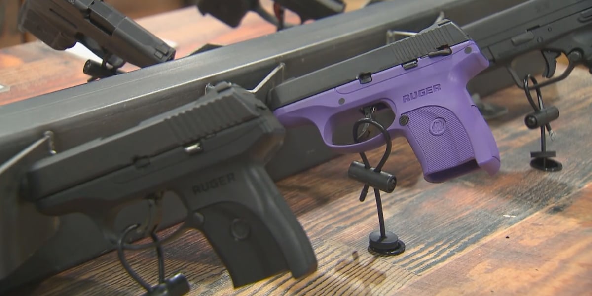 Tallahassee Police reports slight rise in car burglaries, urge residents not to leave guns in vehicles