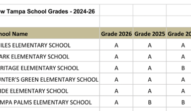 Eight Of 11 New Tampa Schools Earn 'A' Grades — Neighborhood News