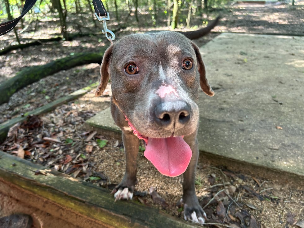 Sweet Baby Girl is an instant friend!