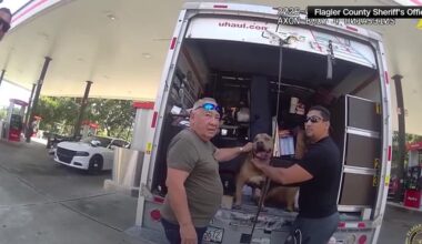 Men arrested after dogs, pigeons found suffering in sweltering U-Haul