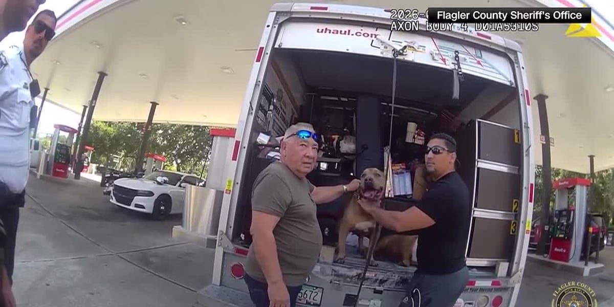 Men arrested after dogs, pigeons found suffering in sweltering U-Haul
