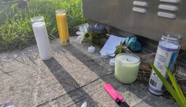 Community gathers for vigil after fatal crash tied to ICE encounter