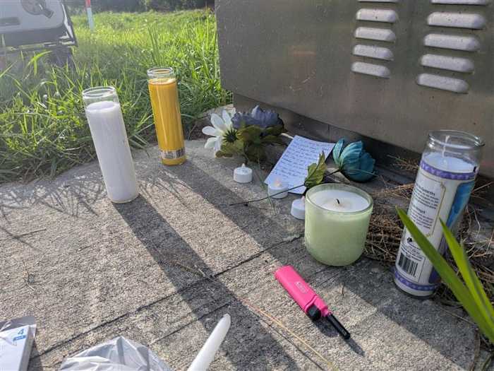 Community gathers for vigil after fatal crash tied to ICE encounter