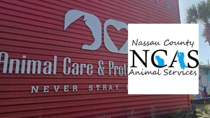 ACPS, Nassau County Animal Services seeking information on dog found with third-degree burns in Duval County