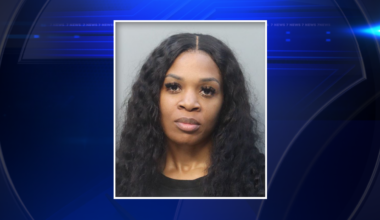 Miami teacher accused of pepper-spraying former partner inside classroom at SEED School - WSVN 7News | Miami News, Weather, Sports