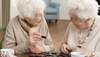 Elderly care continues despite DeSantis’ vetoed budget