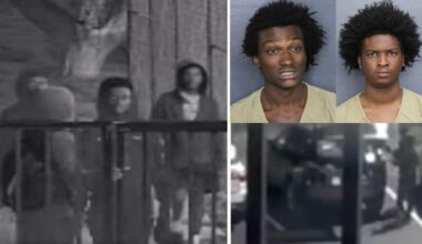 BSO: 3 arrested, more sought following North Lauderdale vehicle burglary spree