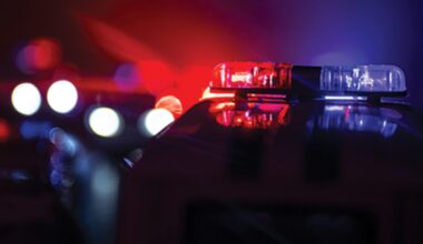 Cape residents charged with grand theft, resisting arrest